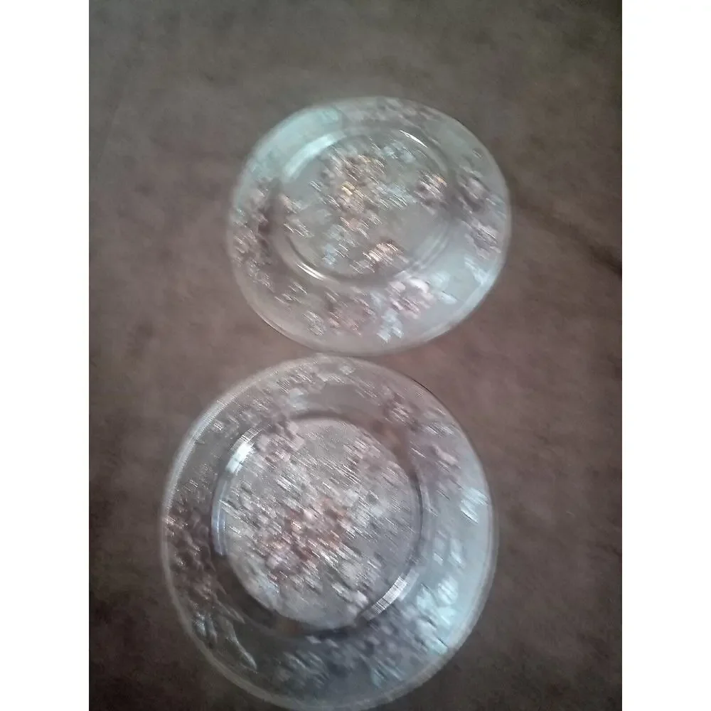 Vtg Rerverse Pressed Glass Plates~CLEAR with colored Flowers 8 1/4
